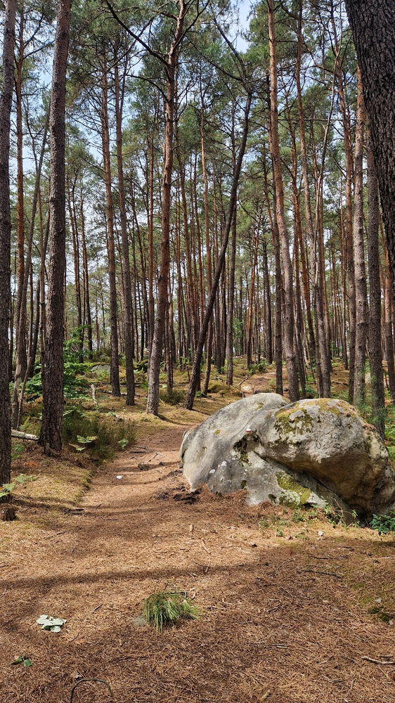 Balade à Fontainebleau 😀