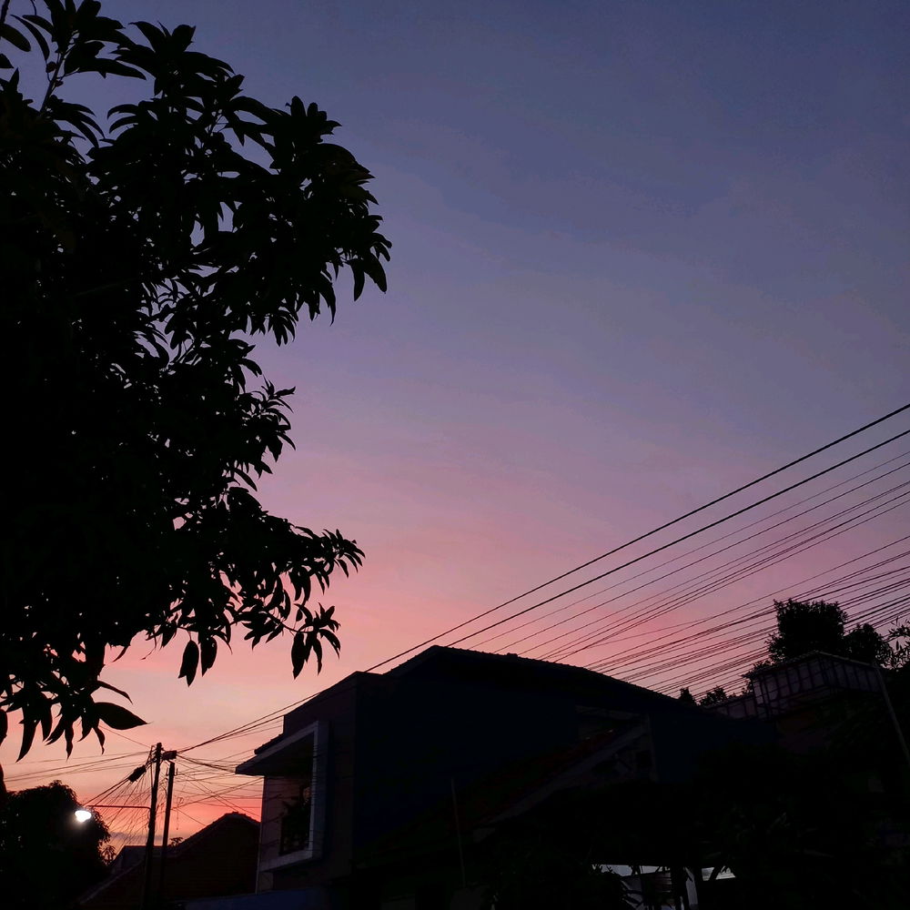🌅📸