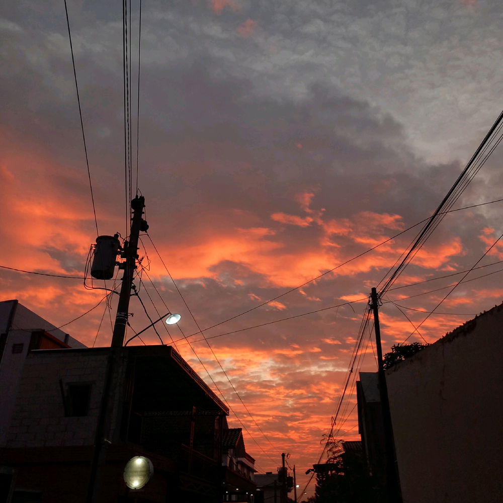 🌅📸