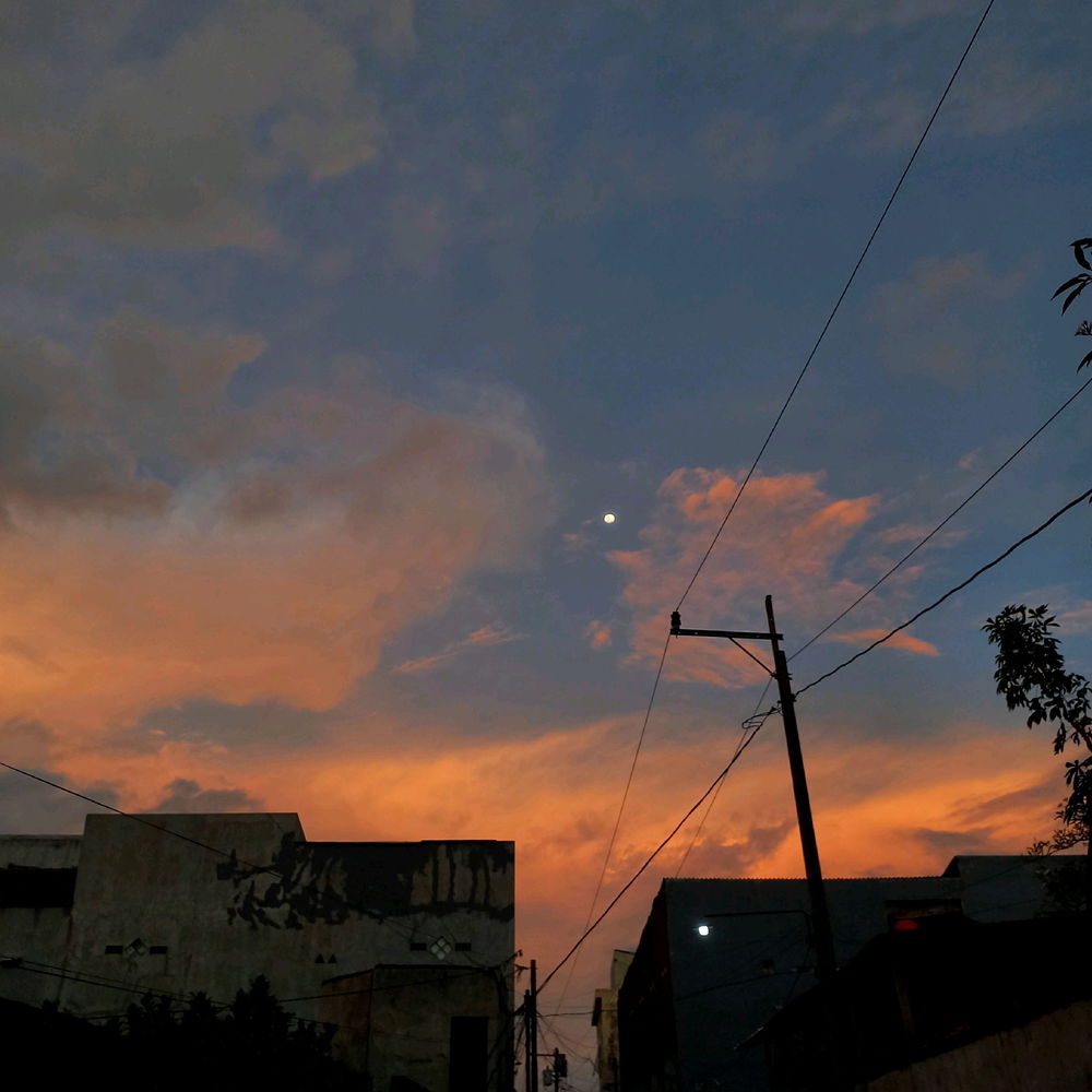 🌅📸