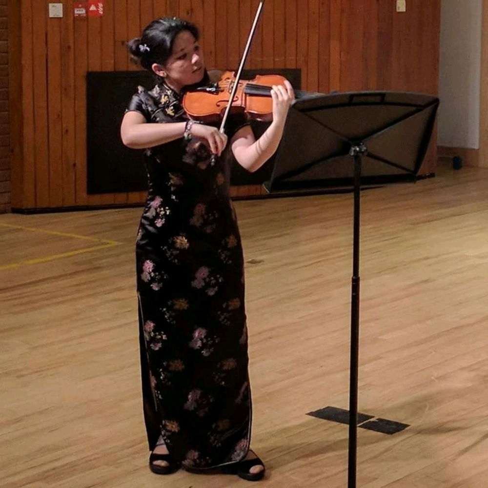 Violin