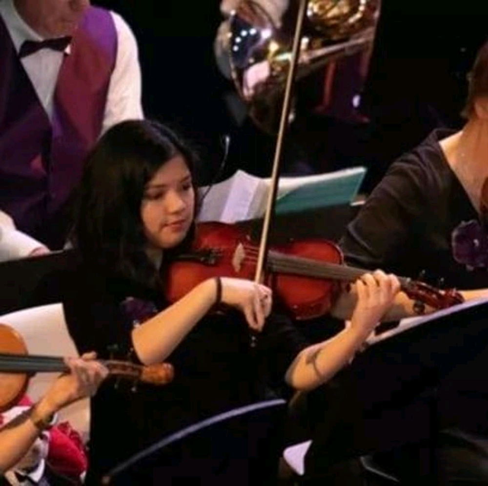 Violin