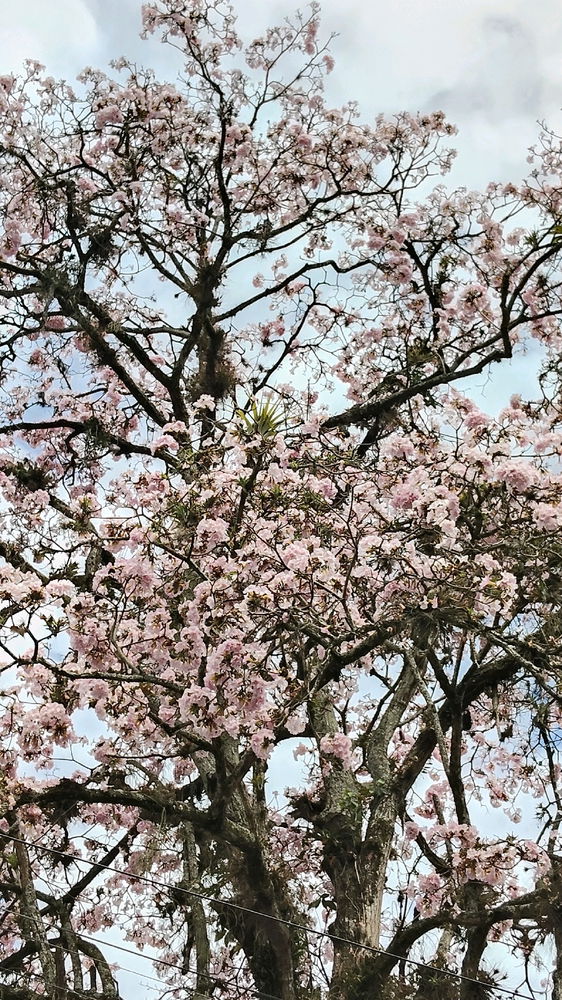 📷