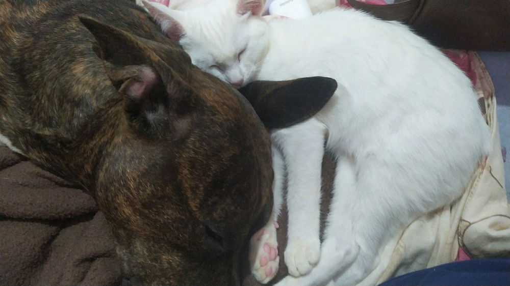 lindos