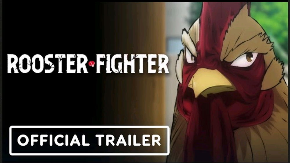 Rooster Fighter
