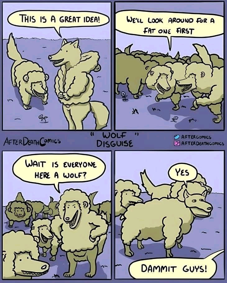 Wolf the f.ck?!