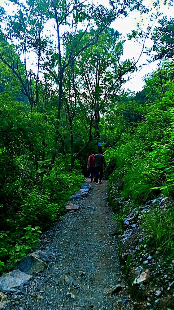 Hiking & clearing off mind 💨
