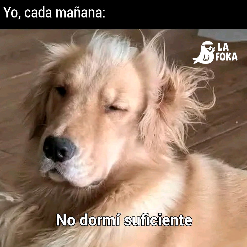 Nunca