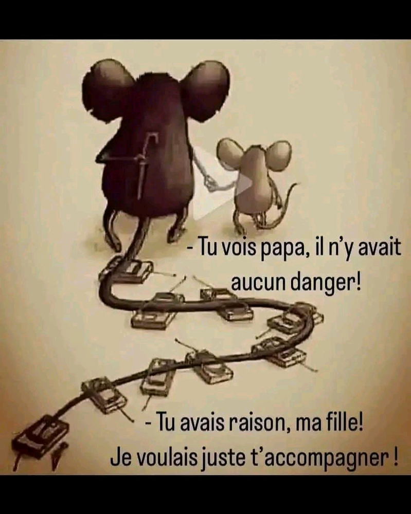 Le père, toujours protecteur😉🫶