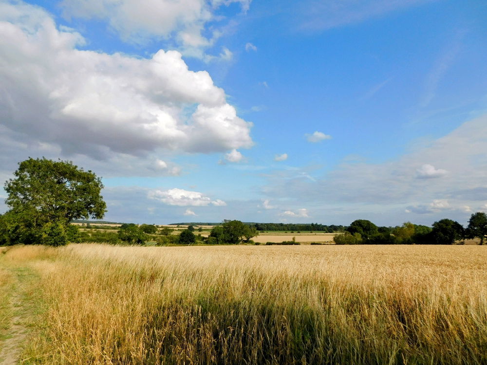 Local walks