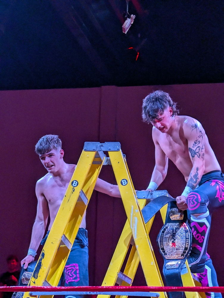 We all love a tag team ladder match