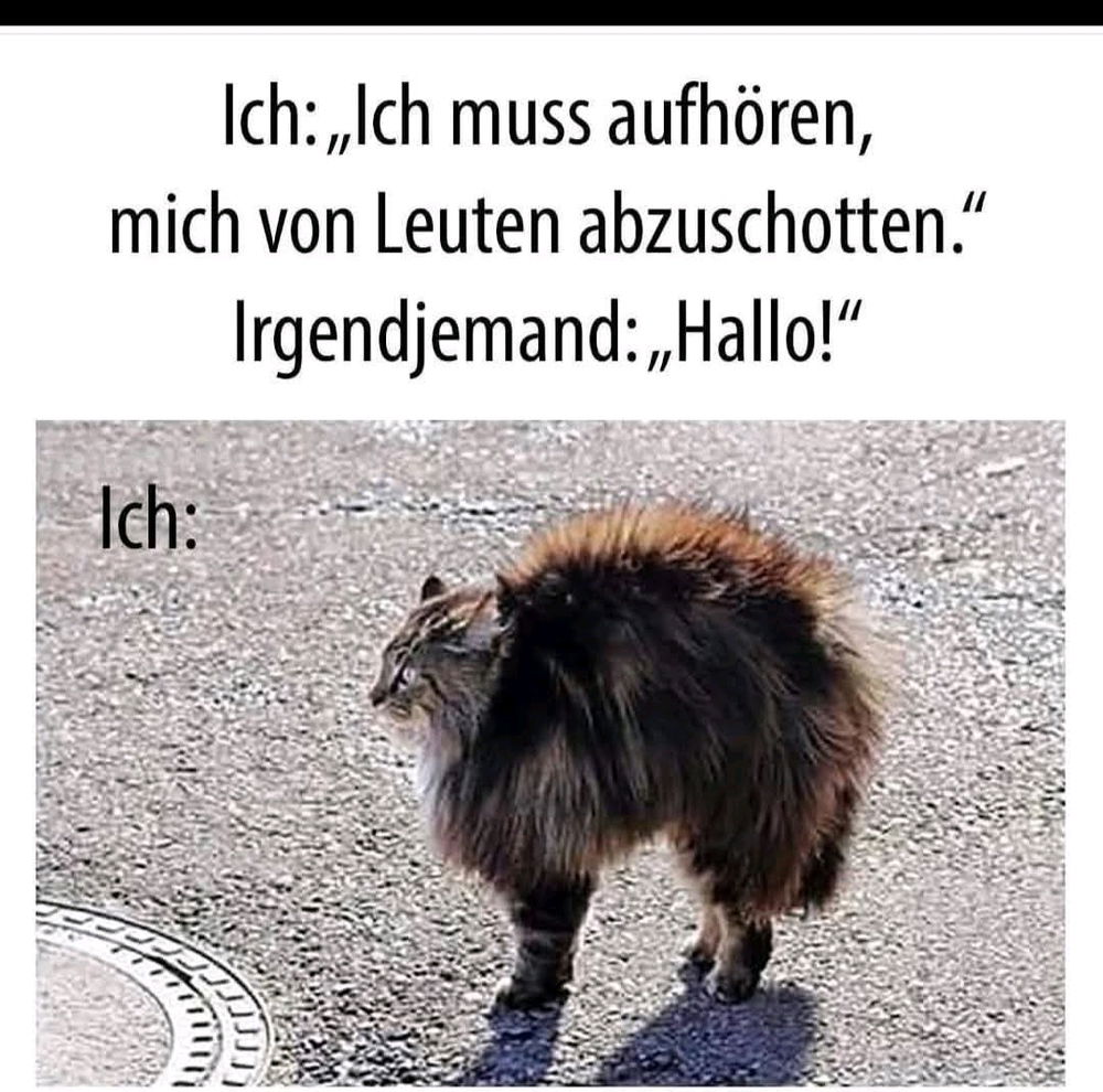 😅