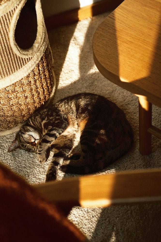 sunny