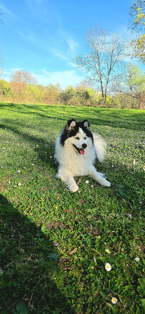 Kaïros c’est le nom donné à mon chien, vous validez ?
Comment s’appelle le tien ?