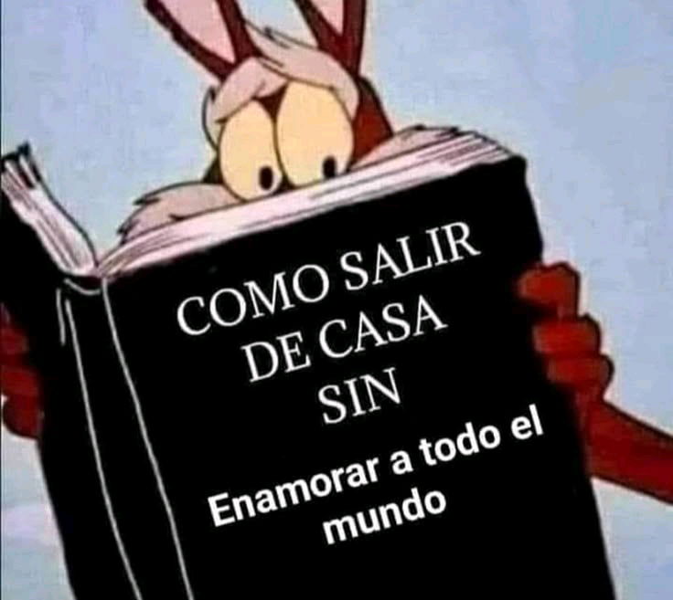 Reflexionando