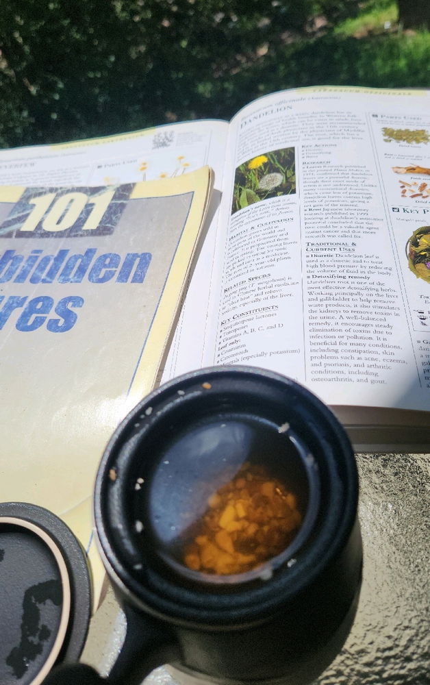 🤓🍵👣🧪Afternoon 💭
Today so far went grounding, read 🙏🏼Bible,
Made a homemade oral mouth rinse, hair mask, facial and now learning more about the natural root tea I am drinking 
To be continued 😁🕊️
How is your day going??🗣️