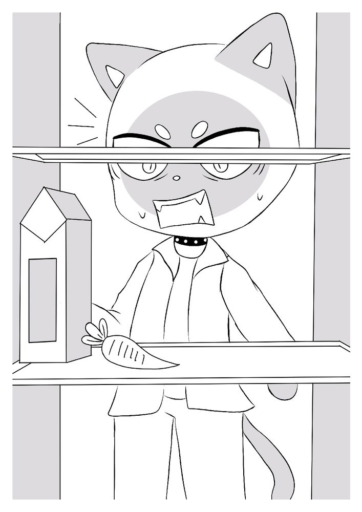 Ilustraciones para un proyecto