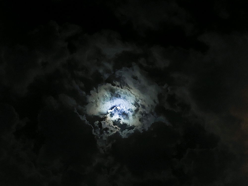 🌕