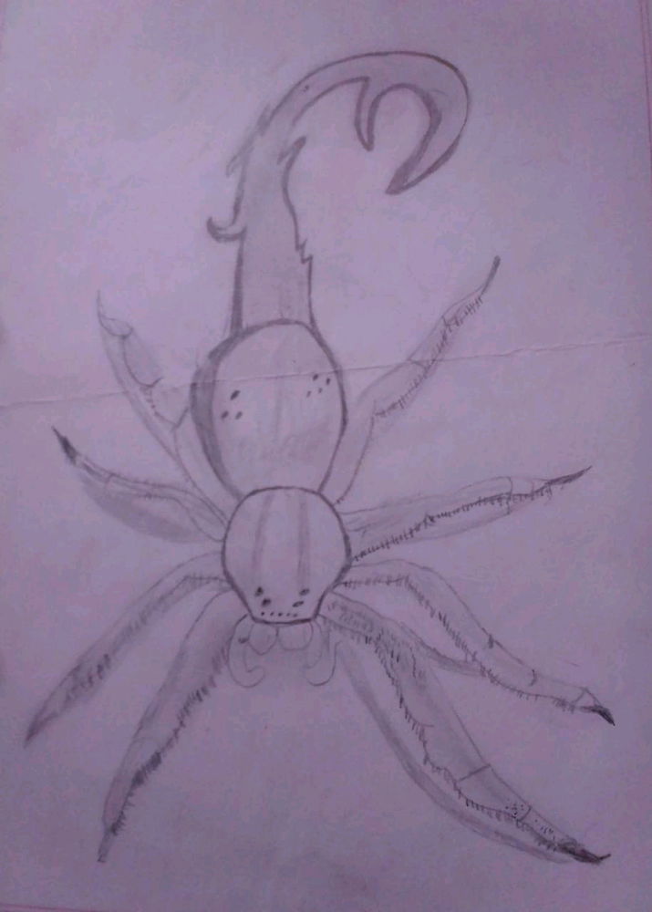 Sorry for the people that don't like spiders.