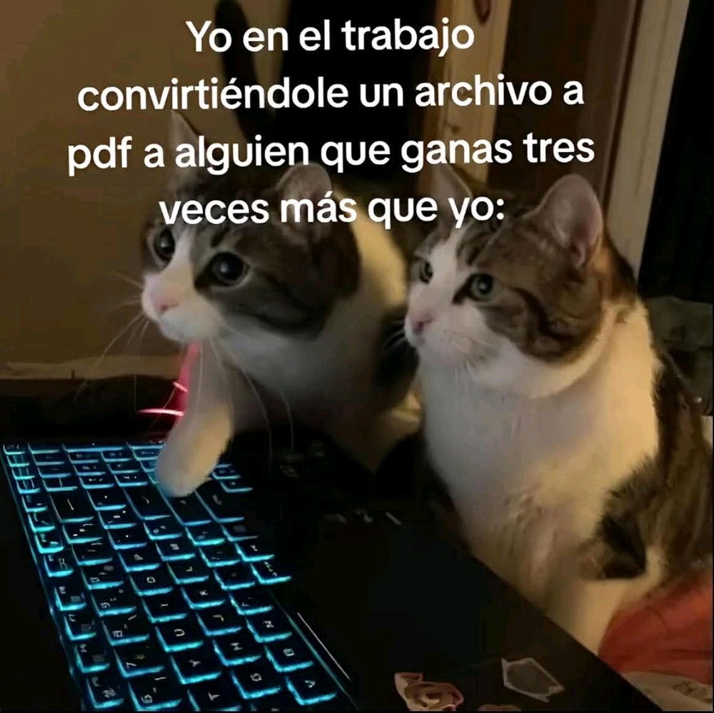 Pura realidad...