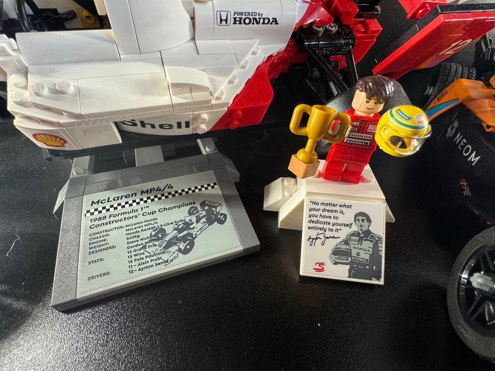 RIP Ayrton Senna
