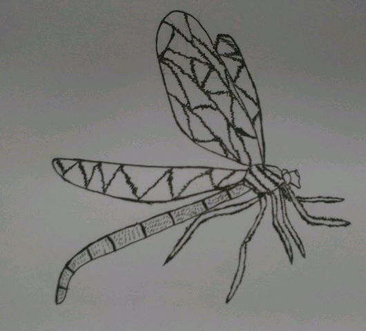 Dragon fly