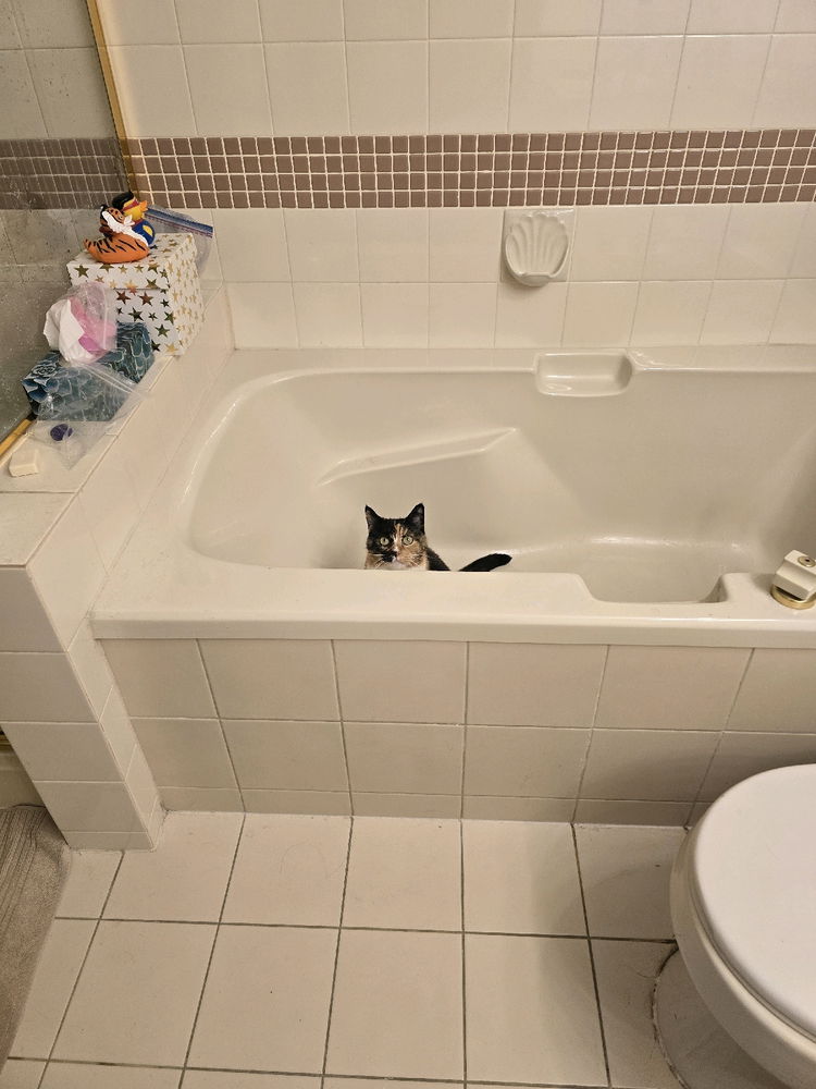 "Excuse me sir, you are interrupting my waterless bath."