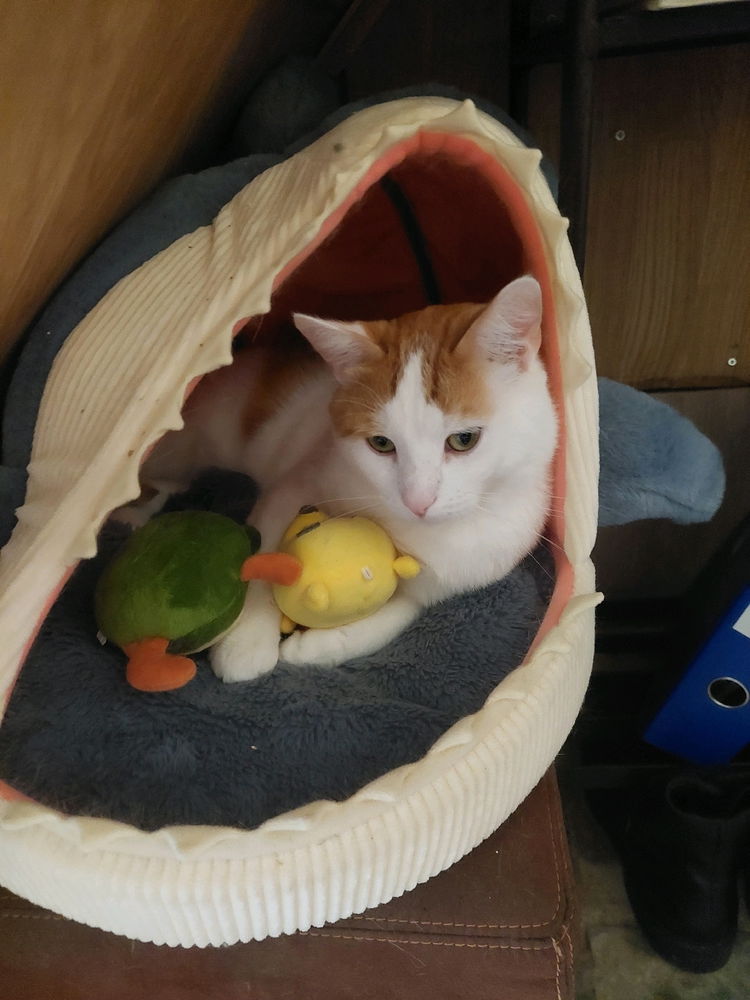 Mon bébé