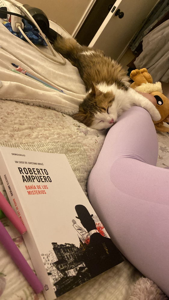 Me recomiendas un libro? 🩷
