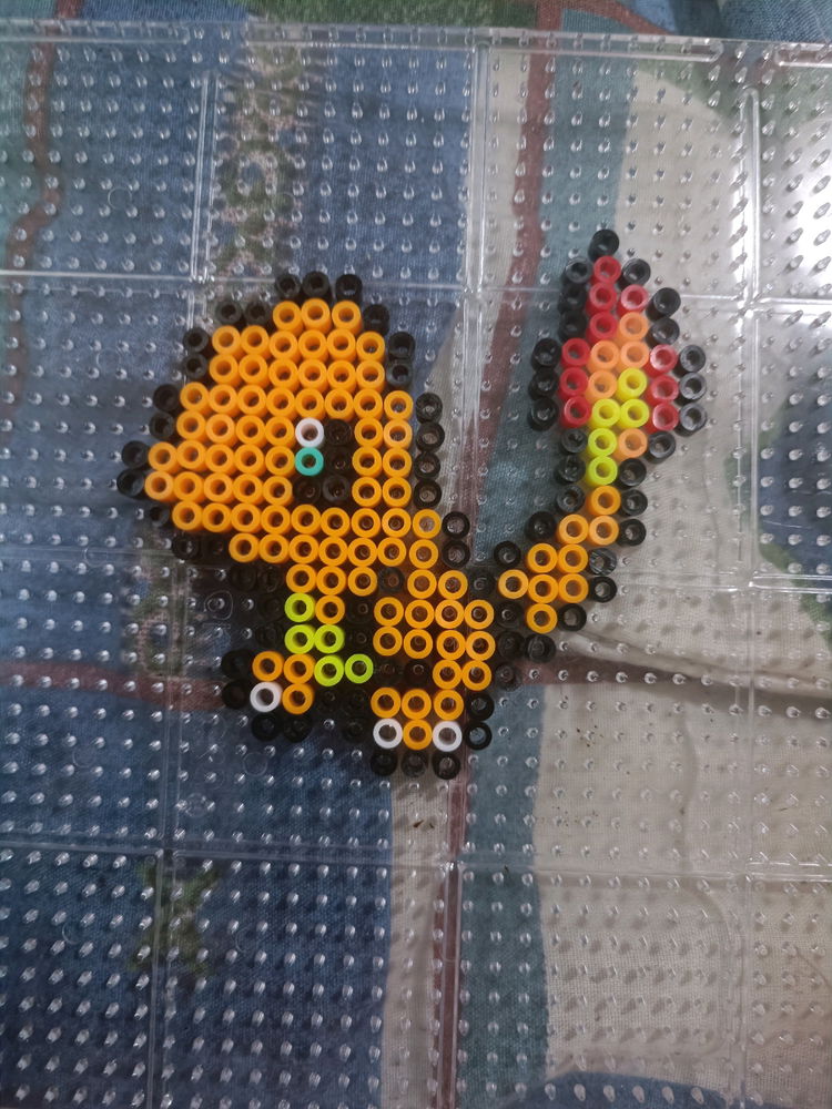 Era Charmander!!