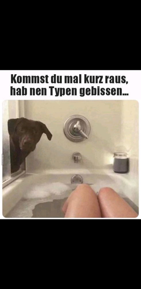 Schon wieder..