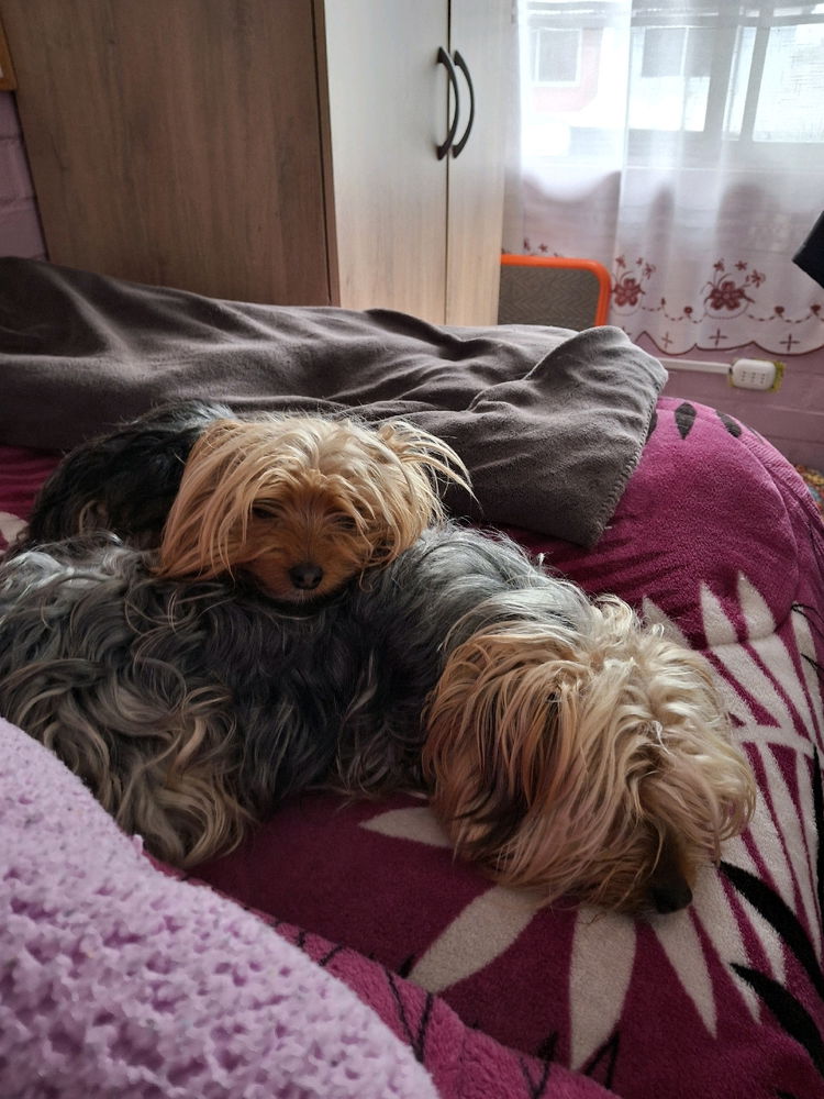 Día de descanso