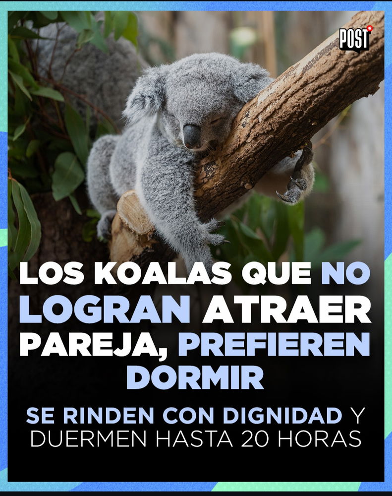 No es necesario este estudio, ya me duermo esas horas...