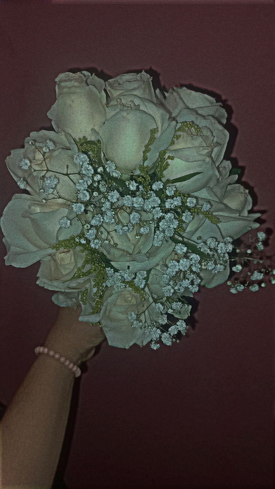 Mais cavalheiros pfr....💐🍂🍃