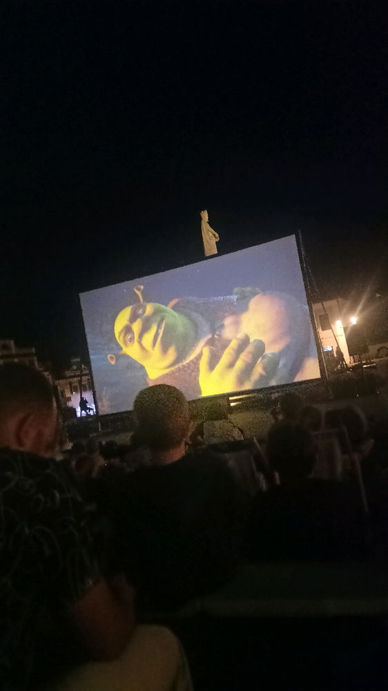 Shrek w bocheńskim plenerze✨