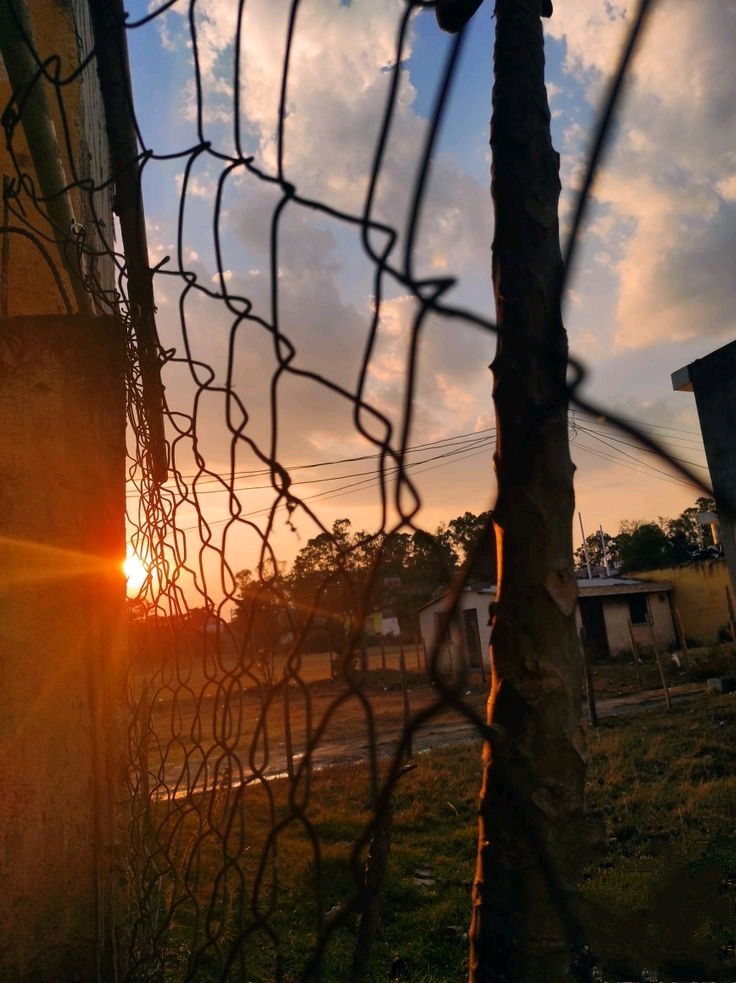 Good evening 🌙🌸
