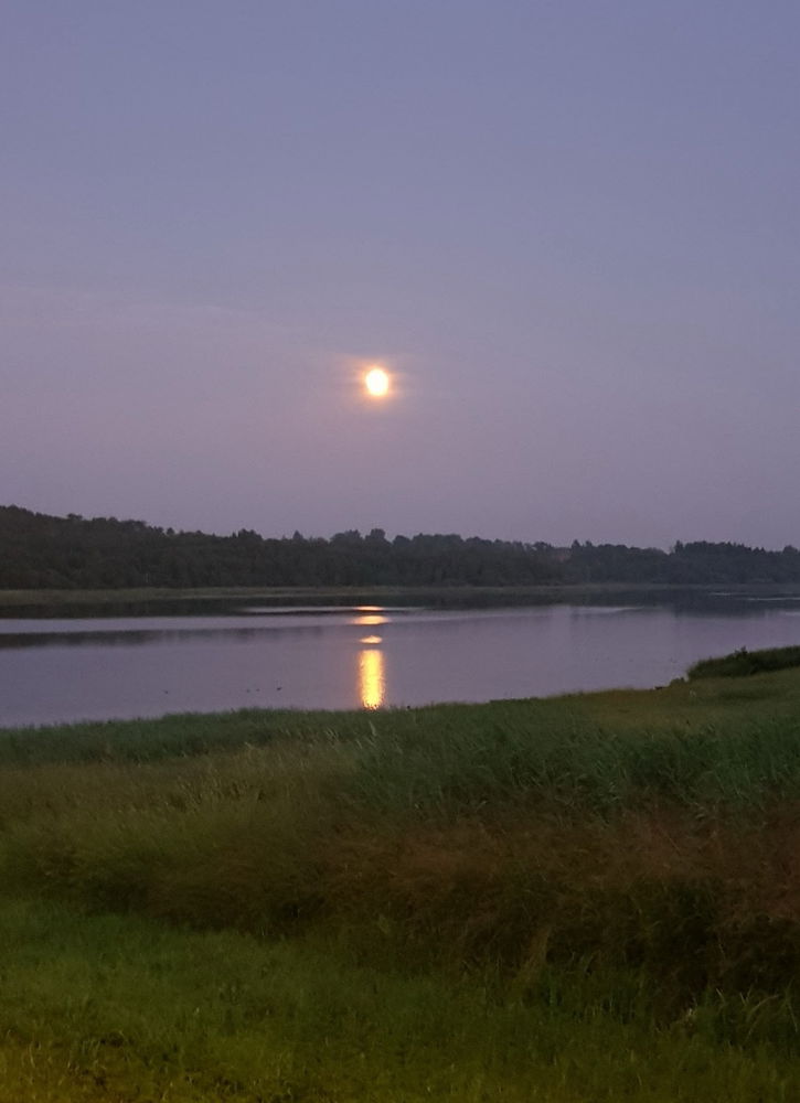 Evening calm by the lake 🌙