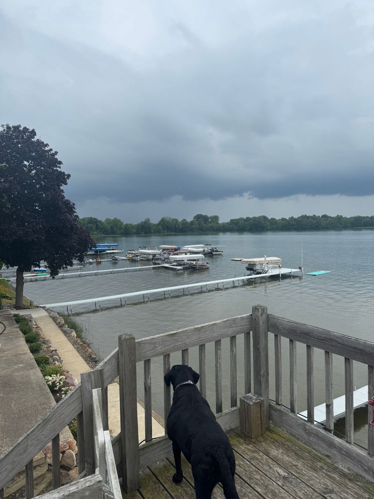 Nola watching the rain coming