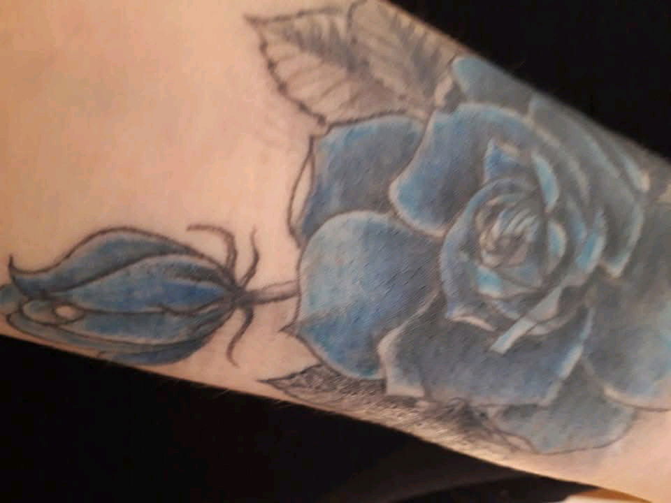 🌹