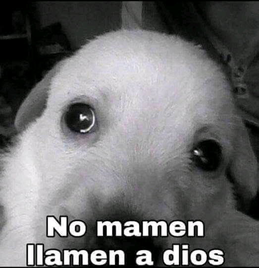 Mañana presento los exámenes