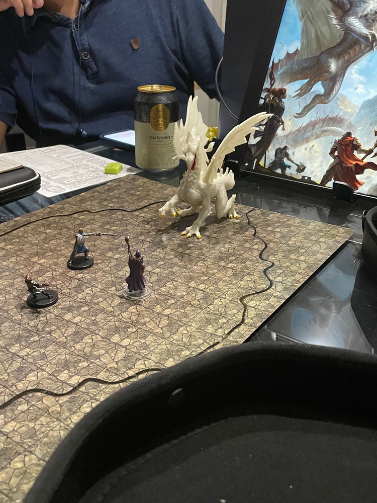 Dnd Dragon fight