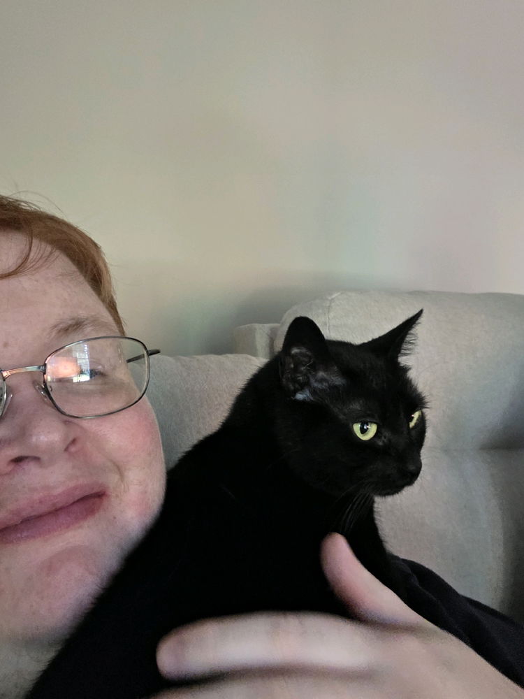 kitty