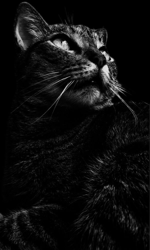 Solo una mirada !!