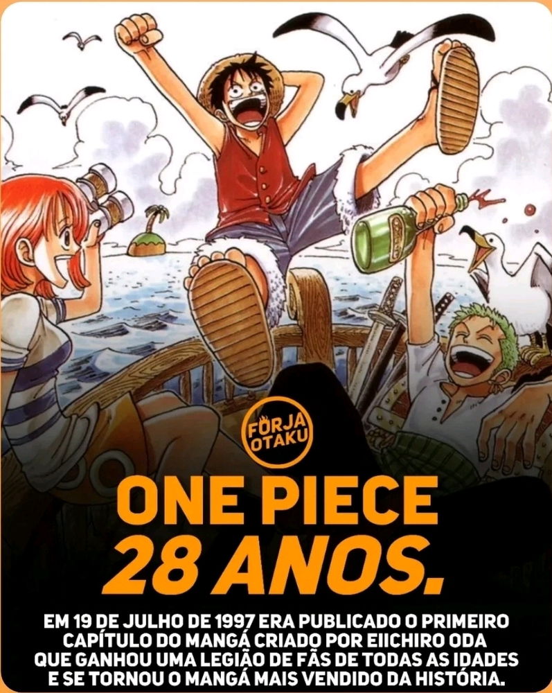 28 anos de one piece