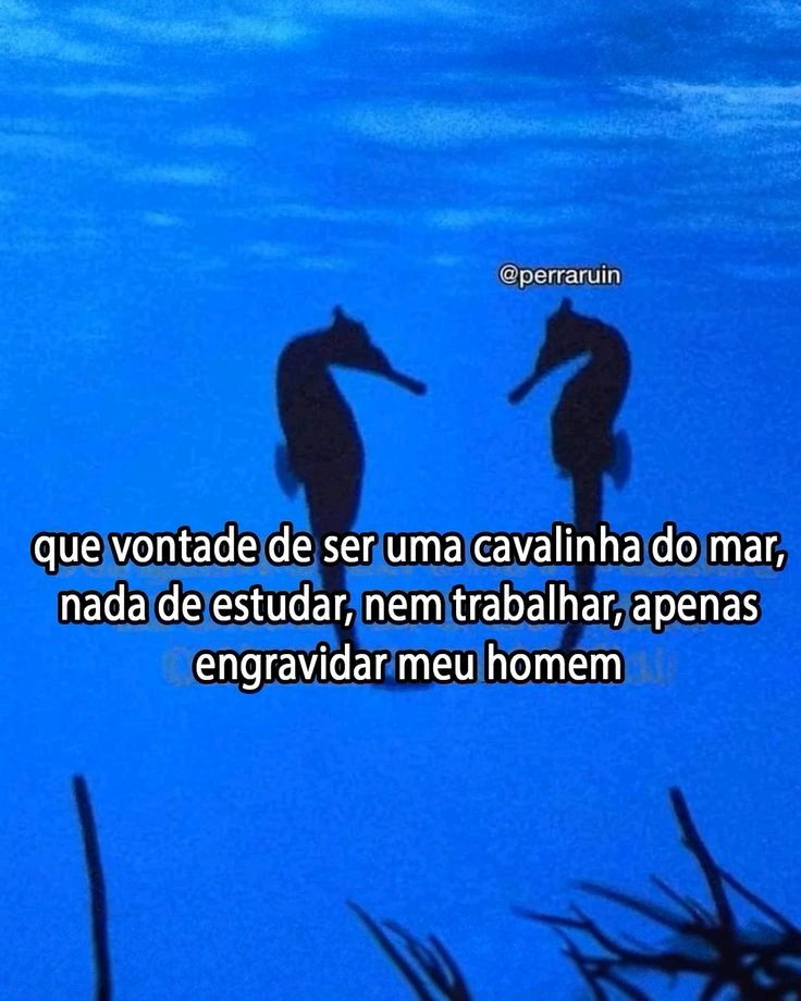 queria
