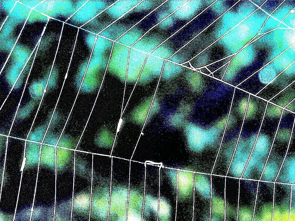 Spiderweb stuff