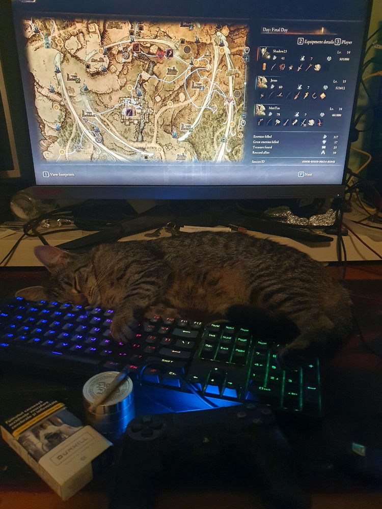 Nightreignin'