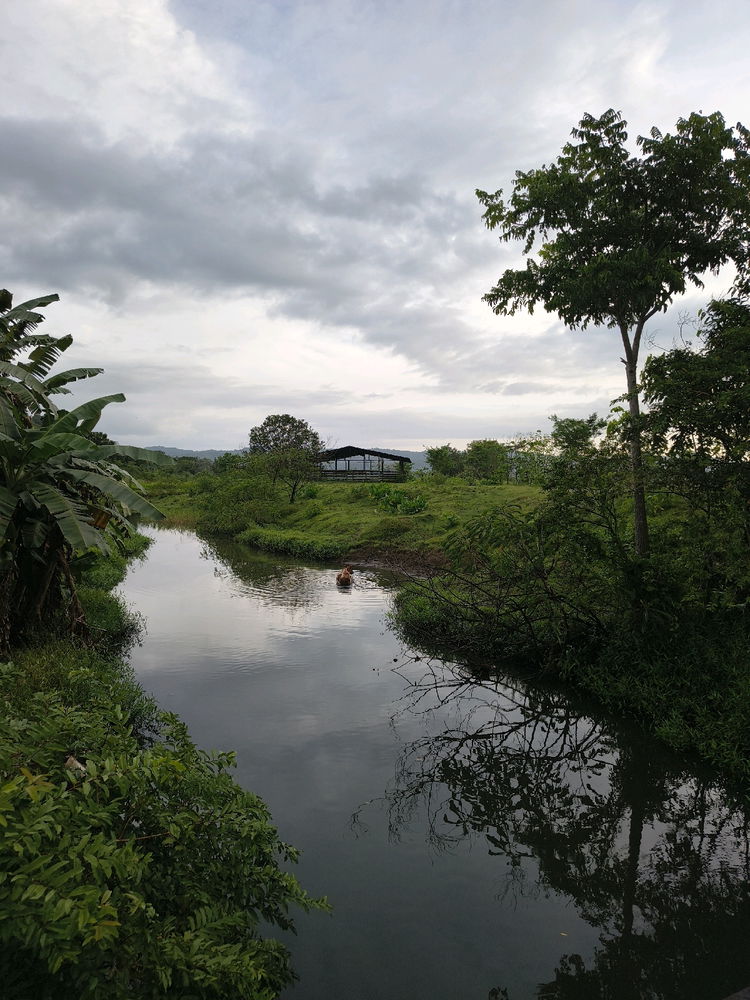 🏞️