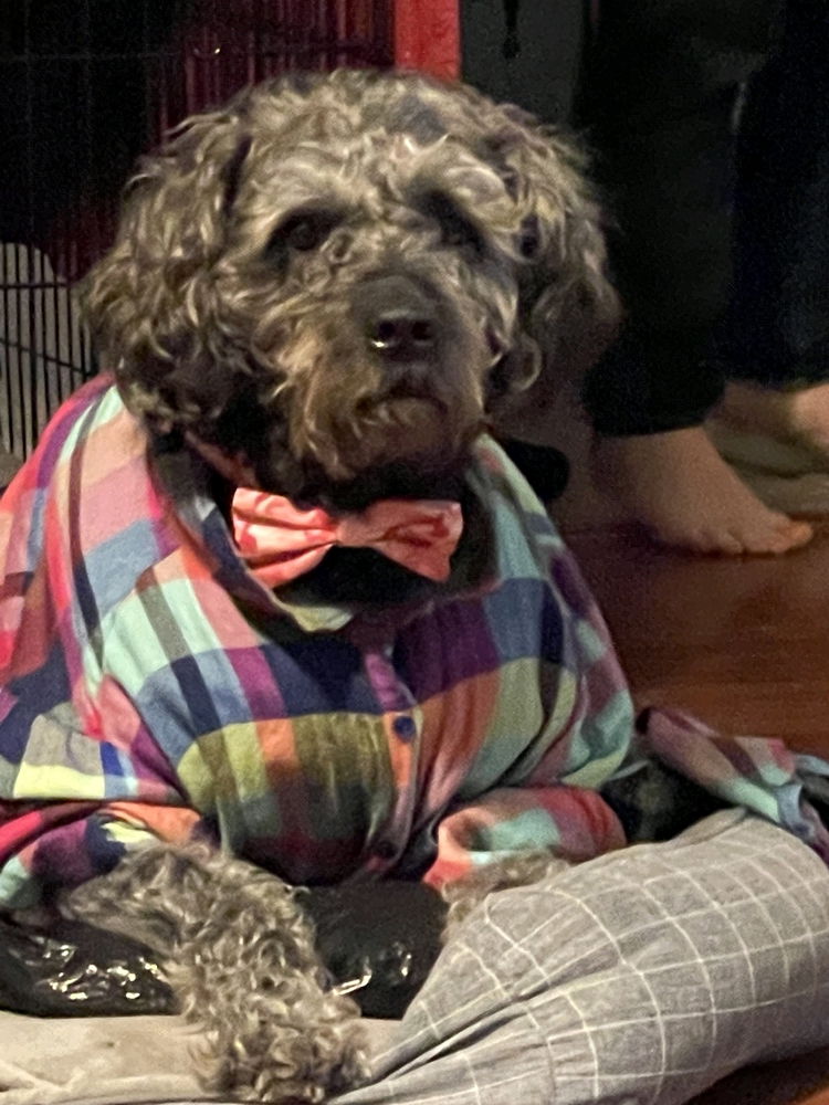 Look at this distinguished gentleman