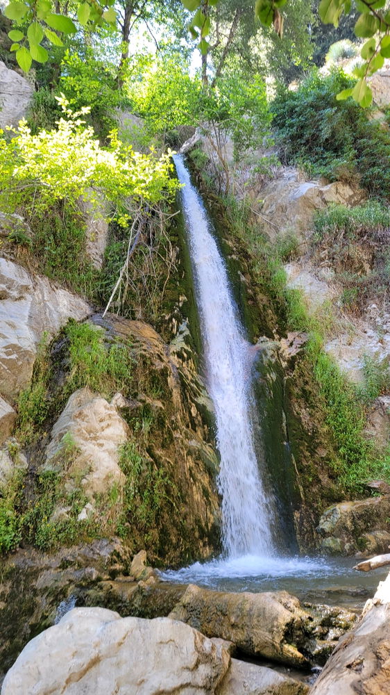 Lewis falls was Mid